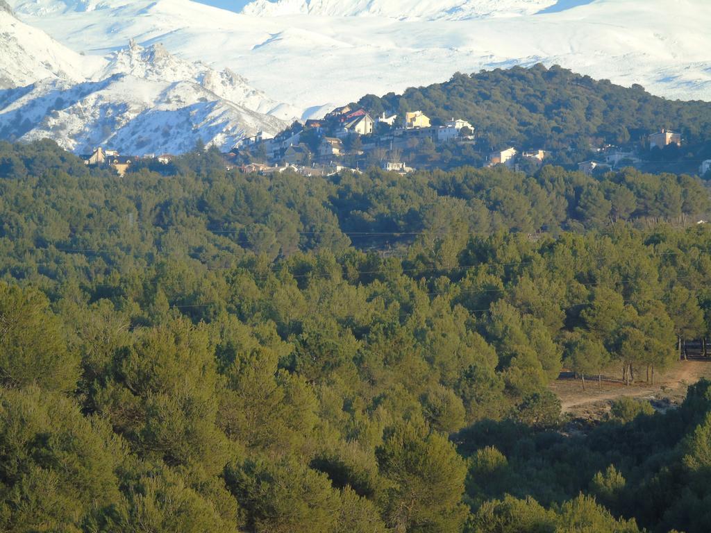 Apartamentos Turisticos Cumbres Verdes La Zubia  Eksteriør billede