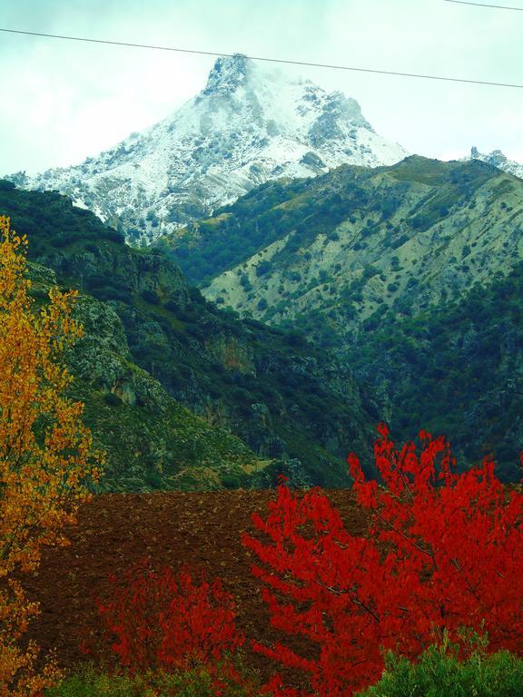 Apartamentos Turisticos Cumbres Verdes La Zubia  Eksteriør billede