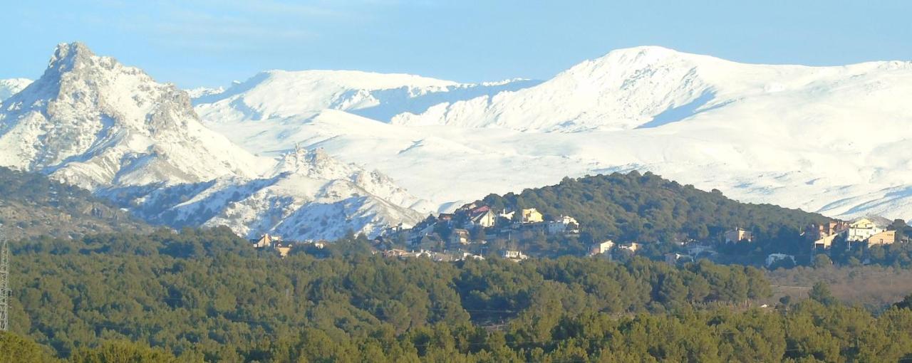 Apartamentos Turisticos Cumbres Verdes La Zubia  Eksteriør billede